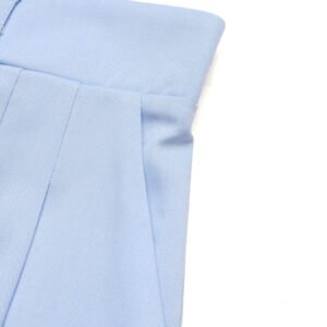 High Waist Pleated Shorts