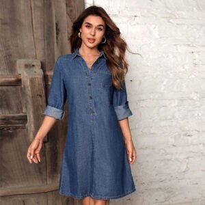 Button Front Denim Shirt Dress