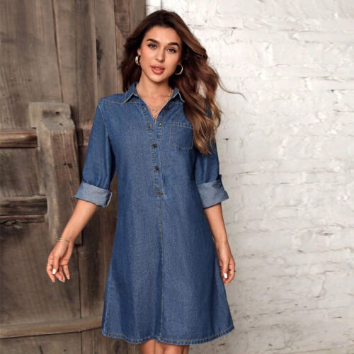 Button Front Denim Shirt Dress