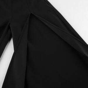 Sheer Mesh Wide Leg Pants