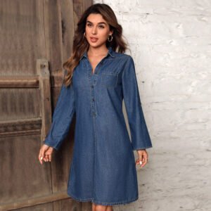 Button Front Denim Shirt Dress